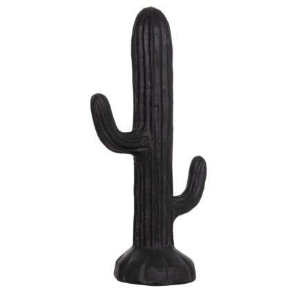 Αγόρασε ΔΙΑΚΟΣΜΗΤΙΚΟΣ ΚΑΚΤΟΣ ΔΑΠΕΔΟΥ CACTUS HM4386.01L ΓΥΨΟΣ ΣΕ ΜΑΥΡΟ 63x37x150Υεκ. σε μοναδική τιμή στο clickforshop.gr