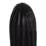 ΔΙΑΚΟΣΜΗΤΙΚΟΣ ΚΑΚΤΟΣ ΔΑΠΕΔΟΥ CACTUS HM4386.01L ΓΥΨΟΣ ΣΕ ΜΑΥΡΟ 63x37x150Υεκ. - Image 5
