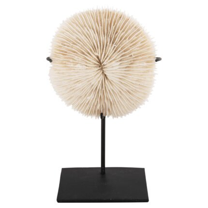 Αγόρασε ΕΠΙΤΡΑΠΕΖΙΟ ΔΙΑΚΟΣΜΗΤΙΚΟ HM4273 ΚΟΡΑΛΙ ΣΕ ΦΥΣΙΚΟ-ΜΑΥΡΗ ΜΕΤΑΛΛΙΚΗ ΒΑΣΗ 8x8x16Υ εκ. σε μοναδική τιμή στο clickforshop.gr