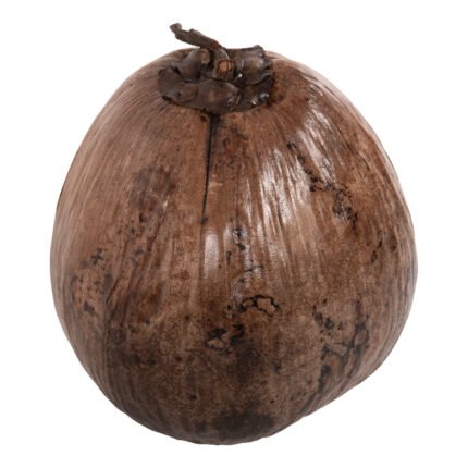 Αγόρασε ΕΠΙΤΡΑΠΕΖΙΟ ΔΙΑΚΟΣΜΗΤΙΚΟ HM4326.01 ΚΑΡΥΔΑ ΣΕ ΦΥΣΙΚΟ ΧΡΩΜΑ 20x20x20Υεκ σε μοναδική τιμή στο clickforshop.gr