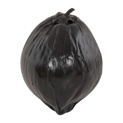 Αγόρασε ΕΠΙΤΡΑΠΕΖΙΟ ΔΙΑΚΟΣΜΗΤΙΚΟ HM4326.02 ΚΑΡΥΔΑ ΣΕ ΜΑΥΡΟ ΧΡΩΜΑ 20x20x20Υεκ σε μοναδική τιμή στο clickforshop.gr