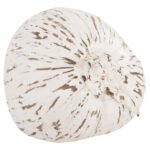 ΕΠΙΤΡΑΠΕΖΙΟ ΔΙΑΚΟΣΜΗΤΙΚΟ HM4326.05 ΚΑΡΥΔΑ ΣΕ ΛΕΥΚΟ ΧΡΩΜΑ 20x20x20Υεκ - Image 4