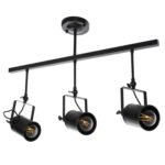 Αγόρασε ΦΩΤΙΣΤΙΚΟ ΟΡΟΦΗΣ ΚΡΕΜΑΣΤΟ HM4124 3-ΦΩΤΟ ΜΑΥΡΟΙ ΜΕΤΑΛΛΙΚΟΙ ΠΡΟΒΟΛΕΙΣ 70