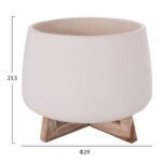 5Υεκ. σε μοναδική τιμή στο clickforshop.gr
