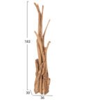 ΚΑΛΟΓΕΡΟΣ HM9367 ΑΠΟ ΜΑΣΙΦ ΞΥΛΟ TEAK ΦΥΣΙΚΟ 36x30x183Υεκ. - Image 2