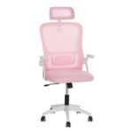 Αγόρασε ΚΑΡΕΚΛΑ ΓΡΑΦΕΙΟΥ BLAZER HM1205.04 ΡΟΖ MESH-ΛΕΥΚΟΣ ΣΚΕΛΕΤΟΣ 60x58x110-130Υεκ. σε μοναδική τιμή στο clickforshop.gr