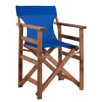 Αγόρασε ΚΑΡΕΚΛΑ ΣΚΗΝΟΘΕΤΗ ΛΗΜΝΟΣ ΚΑΡΥΔΙ ΜΕ TEXTILENE ΜΠΛΕ HM10368.01 σε μοναδική τιμή στο clickforshop.gr