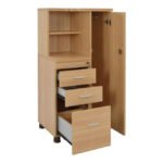 ΝΤΟΥΛΑΠΙ ΓΡΑΦΕΙΟΥ ΕΠΑΓΓΕΛΜΑΤΙΚΟ ΟΞΙΑ HM2052.01R 60Χ46Χ120 - Image 5