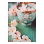 Αγόρασε ΠΙΝΑΚΑΣ ΚΑΜΒΑΣ FLOWER CUP HM7153.05 50X70X2.5 εκ. σε μοναδική τιμή στο clickforshop.gr