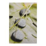 Αγόρασε ΠΙΝΑΚΑΣ ΚΑΜΒΑΣ STONES HM7154.10 60X90X2.5 εκ. σε μοναδική τιμή στο clickforshop.gr