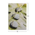 ΠΙΝΑΚΑΣ ΚΑΜΒΑΣ STONES HM7154.10 60X90X2.5 εκ. - Image 2