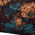 ΠΙΝΑΚΑΣ TOIXOY ΣΕΙΡΑ GOBI HM4775 ΕΚΤΥΠΩΜΕΝΟΣ ΚΑΜΒΑΣ 98x2,5(πάχος)x68Υεκ. - Image 6