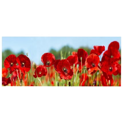 Αγόρασε ΠΙΝΑΚΑΣ TOIXOY ΣΕΙΡΑ GOBI HM4786 ΕΚΤΥΠΩΜΕΝΟΣ ΚΑΜΒΑΣ 120x3(πάχος)x50Υεκ. σε μοναδική τιμή στο clickforshop.gr