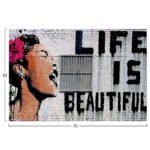 ΠΙΝΑΚΑΣ TOIXOY ΣΕΙΡΑ GOBI HM4830 ΕΚΤΥΠΩΜΕΝΟΣ ΚΑΜΒΑΣ 70x3(πάχος)x50Yεκ. - Image 3