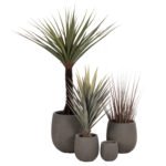 Αγόρασε ΣΕΤ 4ΤΜΧ ΓΛΑΣΤΡΕΣ ΣΤΡΟΓΓΥΛΕΣ GARDENER HM4726 FIBERCLAY ΓΚΡΙΖΟΠΡΑΣΙΝΟ Φ52x55Υεκ σε μοναδική τιμή στο clickforshop.gr