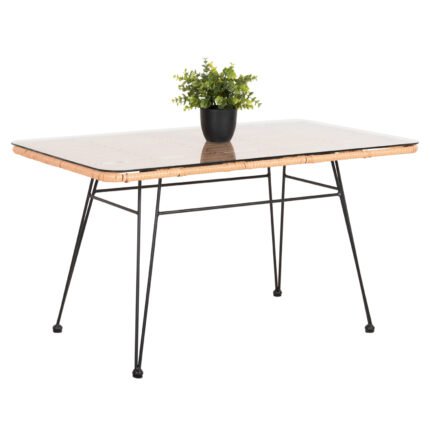 Αγόρασε ΤΡΑΠΕΖΙ ΕΞ.ΧΩΡΟΥ ΧΑΜΗΛΟ ALLEGRA HM6076 ΜΑΥΡΟ ΜΕΤΑΛΛΟ-ΜΠΕΖ WICKER 95X55X51.5Yεκ. σε μοναδική τιμή στο clickforshop.gr