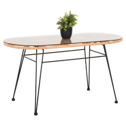 Αγόρασε ΤΡΑΠΕΖΙ ΟΒΑΛ ΧΑΜΗΛΟ ALLEGRA HM5695.11 ΜΠΕΖ WICKER-ΜΑΥΡΟ ΜΕΤΑΛΛΟ 100x45x51