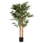 Άνθη & Συνθέσεις