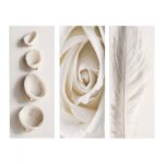 Αγόρασε ΠΙΝΑΚΑΣ ΤΡΙΠΤΥΧΟ MDF NATURAL ELEMENTS HM7204.05 60X0