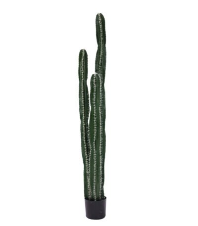 Βρες το Διακοσμητικό φυτό Cactus II σε γλάστρα Inart πράσινο pp Υ155εκ σε μοναδική τιμή στο clickforshop.gr