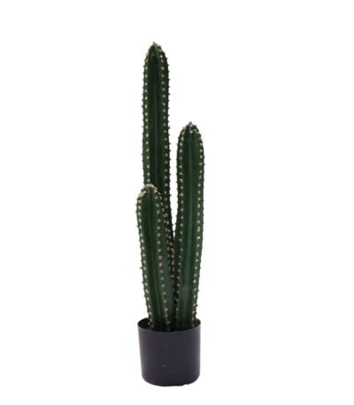 Βρες το Διακοσμητικό φυτό Cactus III σε γλάστρα Inart πράσινο pp Υ85εκ σε μοναδική τιμή στο clickforshop.gr