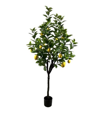 Βρες το Διακοσμητικό φυτό Lemon tree σε γλάστρα Inart πράσινο pp Υ180εκ σε μοναδική τιμή στο clickforshop.gr