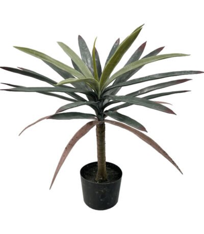 Βρες το Διακοσμητικό φυτό Dracaena palm σε γλάστρα Inart πράσινο pp Υ62εκ σε μοναδική τιμή στο clickforshop.gr