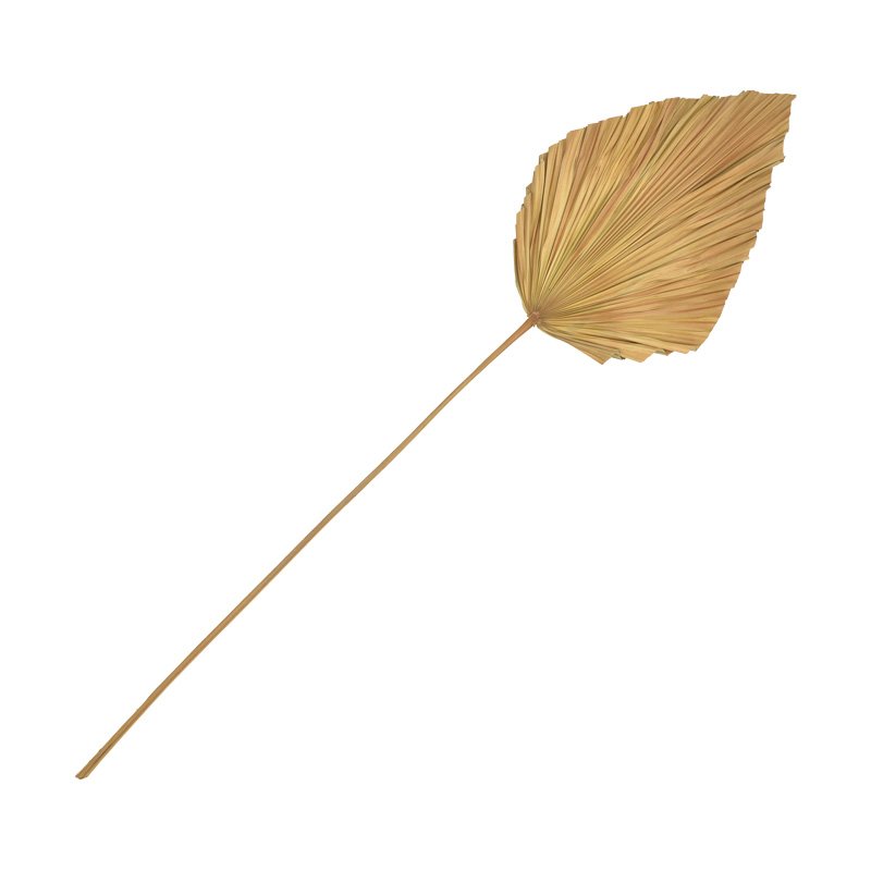 Διακοσμητικό φύλλο Walsy Inart palm leaf σε φυσική απόχρωση Υ135 εκ Βρες το Διακοσμητικό φύλλο Walsy Inart palm leaf σε φυσική απόχρωση Υ135 εκ σε μοναδική τιμή στο clickforshop.gr